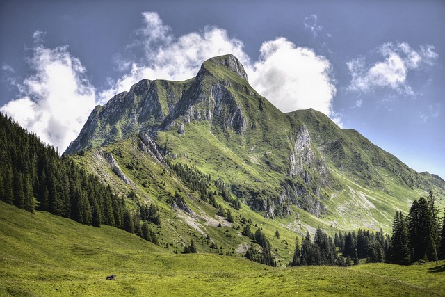 Tagestouren in Österreich