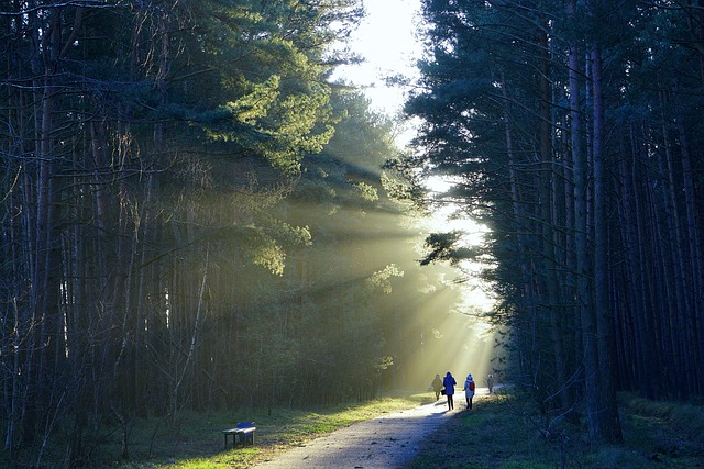 Wildbach-Tagestour in Oberösterreich