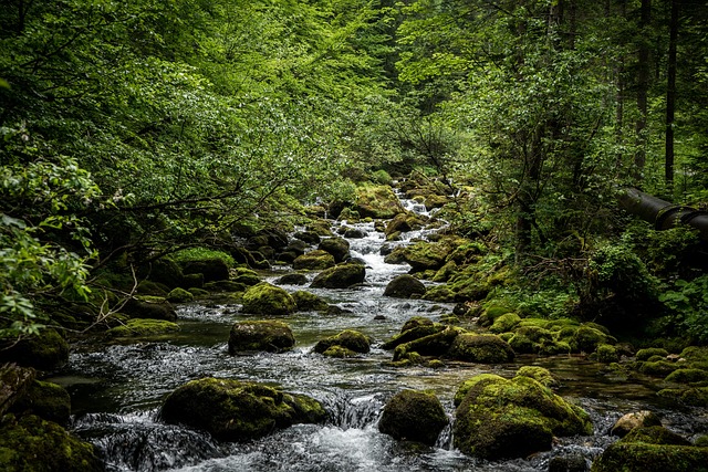 Oberösterreich – sanfte Bergwanderungen und Seen